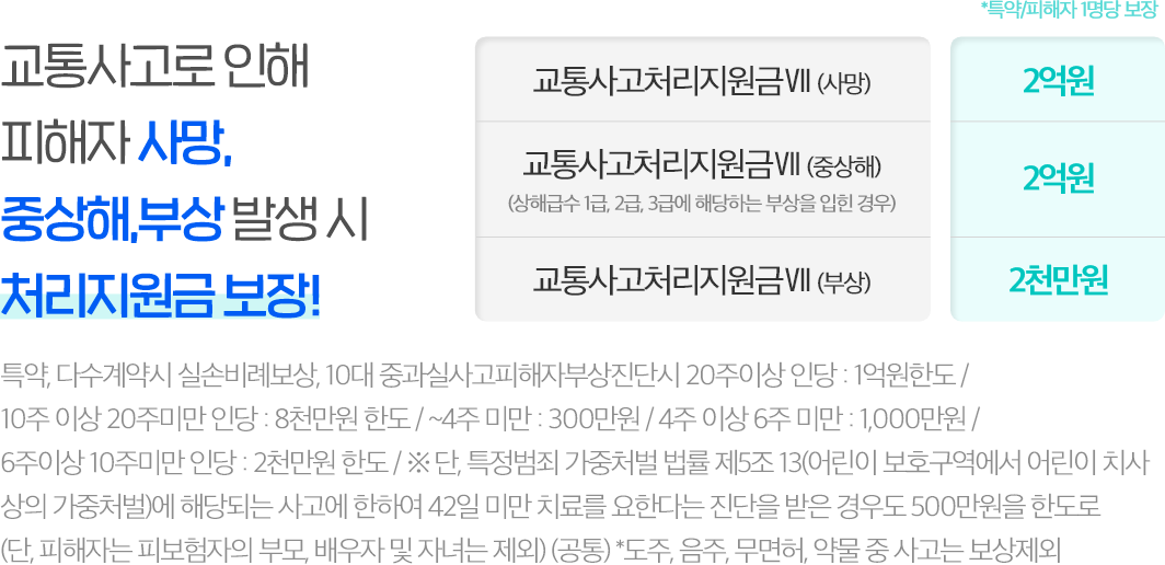 교통사고로 인해 피해자 사망, 중상해,부상 발생 시 처리 지원금 보장!