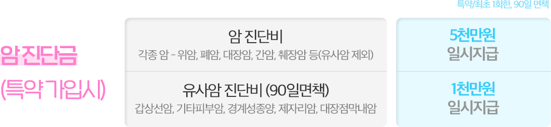암 진단금