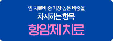 암 치료비 중 가장 높은 비중을 차지하는 항목 항암제 치료