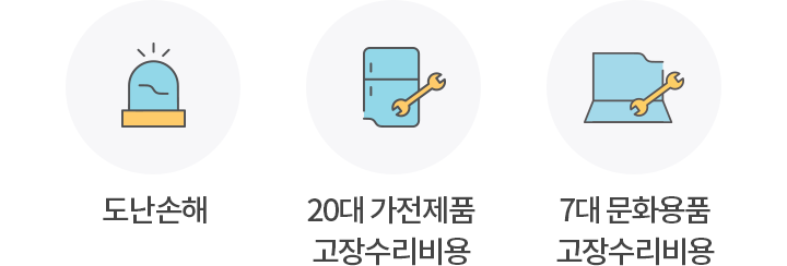 도난손해, 20대 가전제품 고장수리비용, 7대 문화용품 고장수리비용