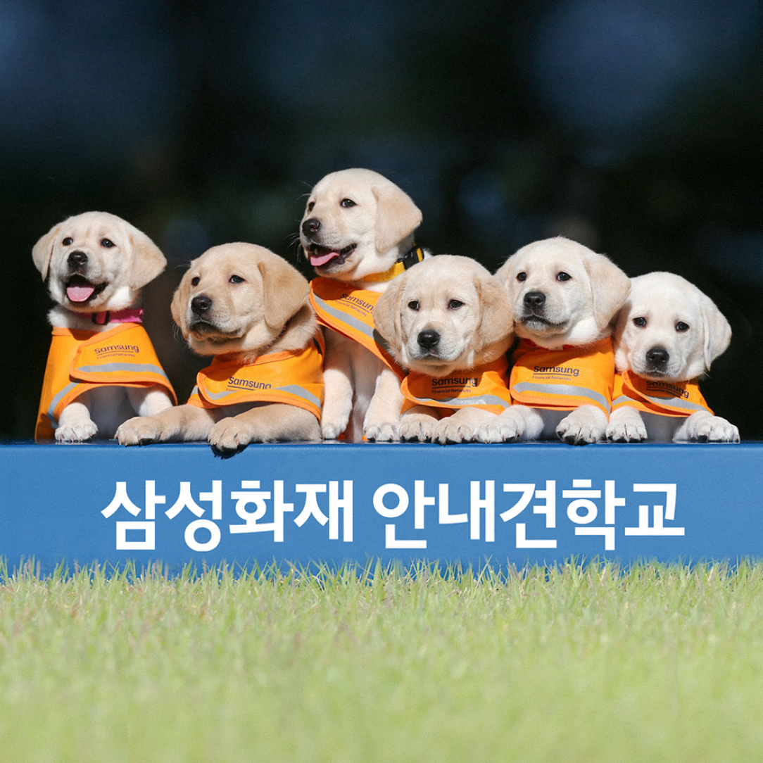 Guide Dog School for the Visually Challenged